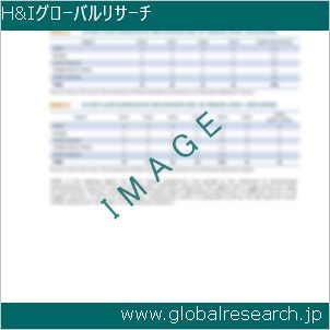 グローバルリサーチ調査レポートのイメージ